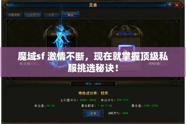 魔域sf 激情不断，现在就掌握顶级私服挑选秘诀！