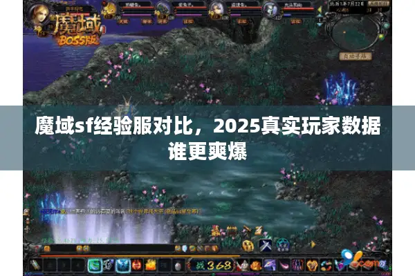 魔域sf经验服对比，2025真实玩家数据谁更爽爆