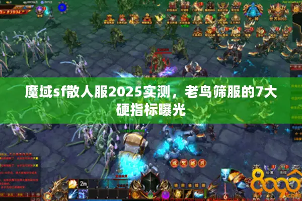 魔域sf散人服2025实测，老鸟筛服的7大硬指标曝光