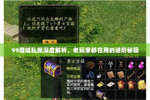 99魔域私服深度解析，老玩家都在用的进阶秘籍