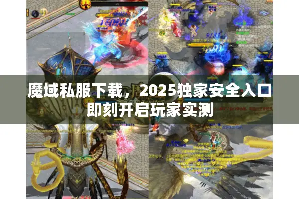魔域私服下载，2025独家安全入口即刻开启玩家实测