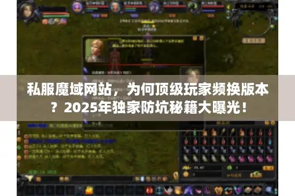 私服魔域网站，为何顶级玩家频换版本？2025年独家防坑秘籍大曝光！