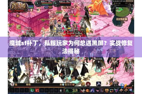 魔域sf补丁，私服玩家为何总遇黑屏？实战修复法揭秘
