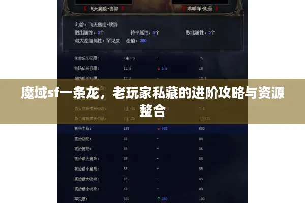 魔域sf一条龙，老玩家私藏的进阶攻略与资源整合
