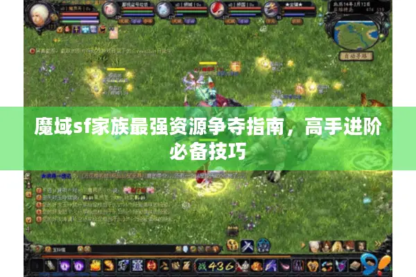 魔域sf家族最强资源争夺指南，高手进阶必备技巧