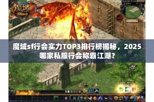 魔域sf行会实力TOP3排行榜揭秘,2025哪家私服行会称霸江湖? 魔域sf行会实力TOP3排行榜揭秘,2025哪家私服行会称霸江湖?