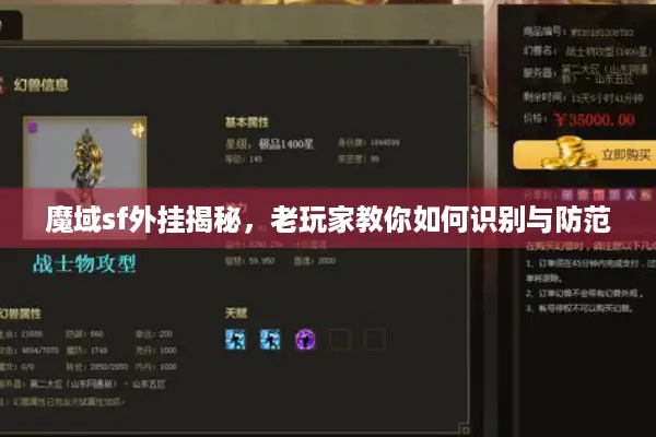 魔域sf外挂揭秘，老玩家教你如何识别与防范