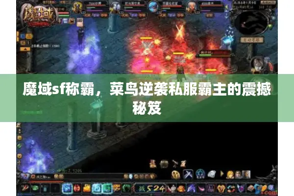 魔域sf称霸，菜鸟逆袭私服霸主的震撼秘笈