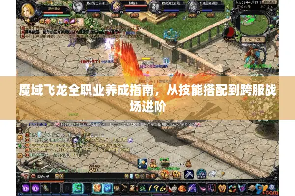 魔域飞龙全职业养成指南，从技能搭配到跨服战场进阶