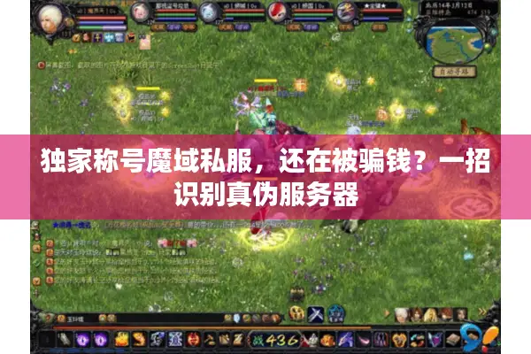 独家称号魔域私服，还在被骗钱？一招识别真伪服务器