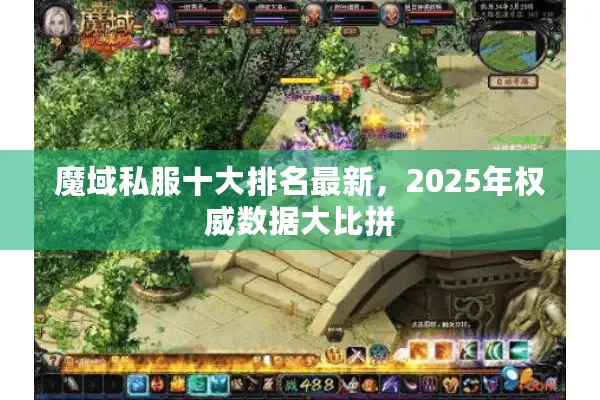 魔域私服十大排名最新,2025年权威数据大比拼 魔域私服十大排名最新,2025年权威数据大比拼