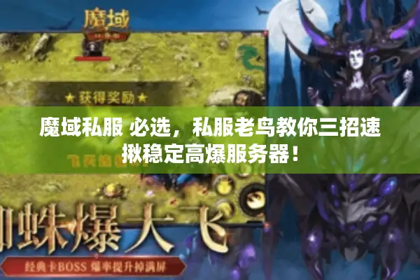 魔域私服 必选，私服老鸟教你三招速揪稳定高爆服务器！