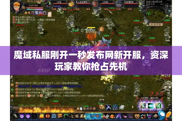 魔域私服刚开一秒发布网新开服，资深玩家教你抢占先机