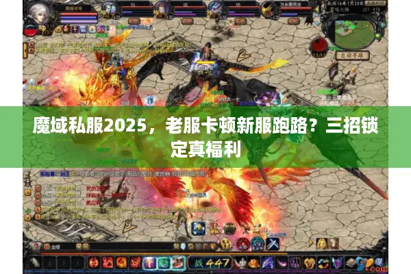 魔域私服2025，老服卡顿新服跑路？三招锁定真福利