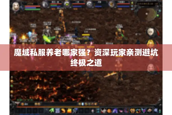 魔域私服养老哪家强？资深玩家亲测避坑终极之道