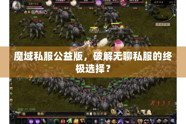魔域私服公益版，破解无聊私服的终极选择？