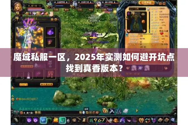 魔域私服一区，2025年实测如何避开坑点找到真香版本？