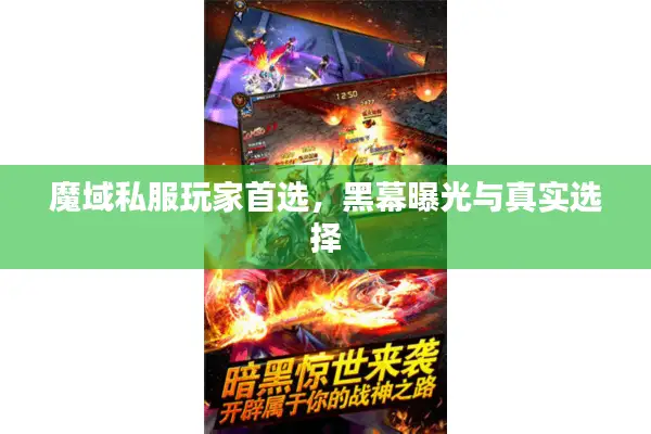 魔域私服玩家首选,黑幕曝光与真实选择 魔域私服玩家首选,黑幕曝光与真实选择