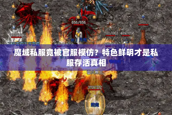 魔域私服竟被官服模仿？特色鲜明才是私服存活真相