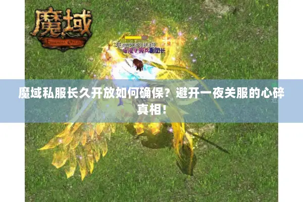 魔域私服长久开放如何确保？避开一夜关服的心碎真相！