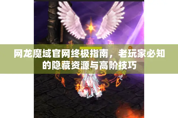 网龙魔域官网终极指南，老玩家必知的隐藏资源与高阶技巧