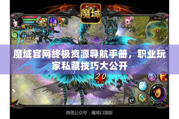 魔域官网终极资源导航手册，职业玩家私藏技巧大公开
