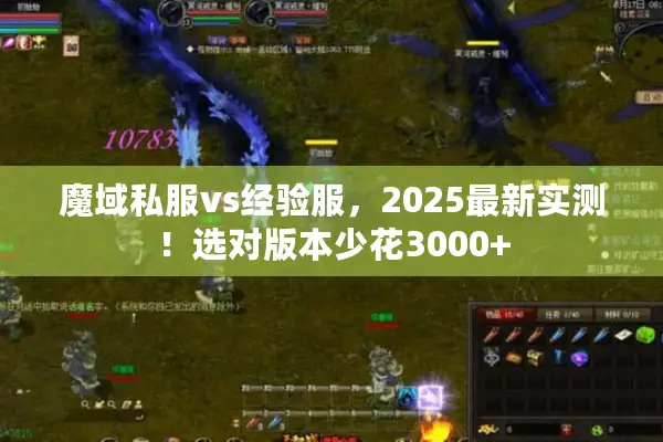 魔域私服vs经验服，2025最新实测！选对版本少花3000+