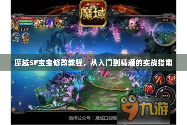 魔域SF宝宝修改教程，从入门到精通的实战指南