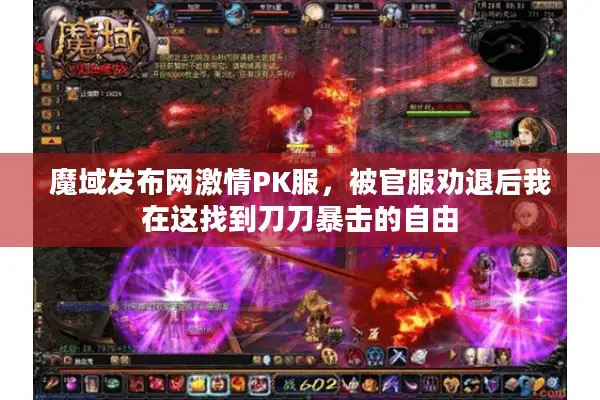 魔域发布网激情PK服，被官服劝退后我在这找到刀刀暴击的自由