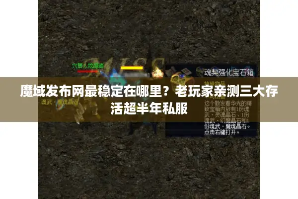 魔域发布网最稳定在哪里？老玩家亲测三大存活超半年私服