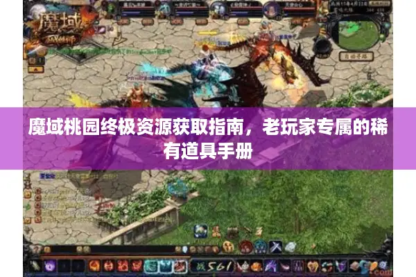魔域桃园终极资源获取指南，老玩家专属的稀有道具手册