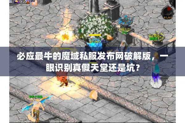 必应最牛的魔域私服发布网破解版，一眼识别真假天堂还是坑？