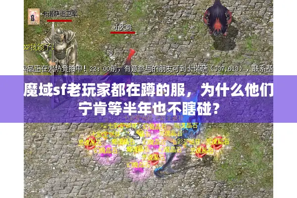 魔域sf老玩家都在蹲的服，为什么他们宁肯等半年也不瞎碰？
