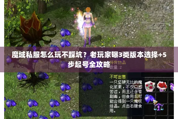 魔域私服怎么玩不踩坑？老玩家曝3类版本选择+5步起号全攻略