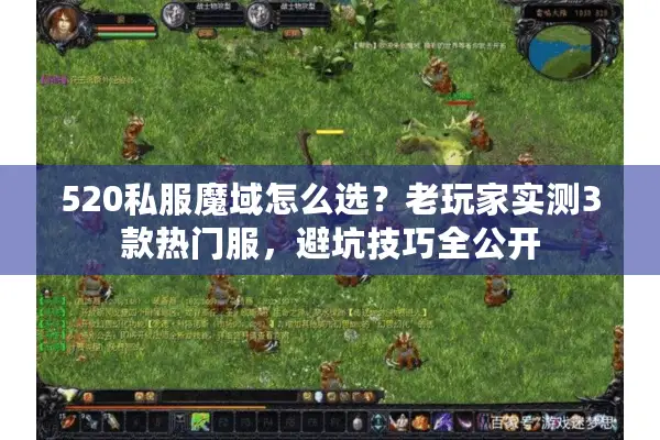 520私服魔域怎么选？老玩家实测3款热门服，避坑技巧全公开