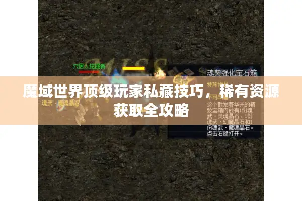 魔域世界顶级玩家私藏技巧，稀有资源获取全攻略