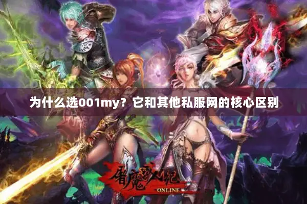 为什么选001my？它和其他私服网的核心区别