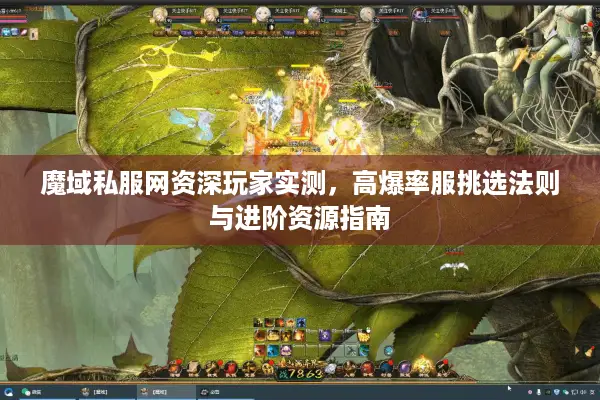 魔域私服网资深玩家实测，高爆率服挑选法则与进阶资源指南