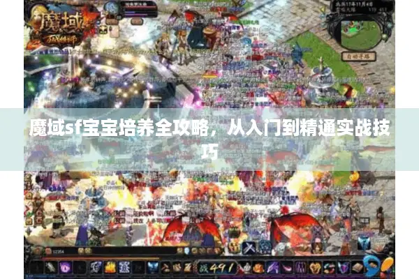 魔域sf宝宝培养全攻略，从入门到精通实战技巧