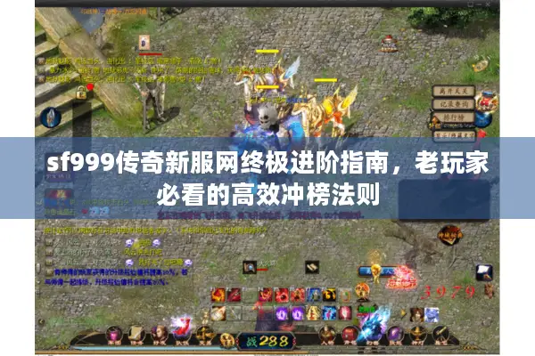 sf999传奇新服网终极进阶指南，老玩家必看的高效冲榜法则