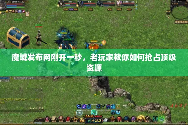 魔域发布网刚开一秒，老玩家教你如何抢占顶级资源