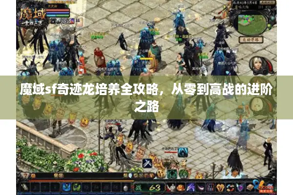 魔域sf奇迹龙培养全攻略，从零到高战的进阶之路