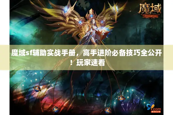 魔域sf辅助实战手册，高手进阶必备技巧全公开！玩家速看
