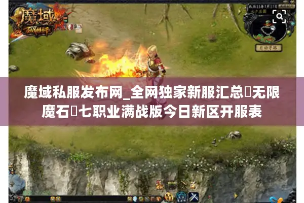 魔域私服发布网_全网独家新服汇总▷无限魔石◁七职业满战版今日新区开服表