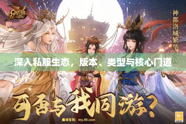 深入私服生态，版本、类型与核心门道