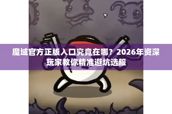 魔域官方正版入口究竟在哪？2026年资深玩家教你精准避坑选服