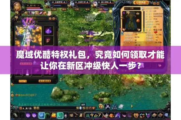 魔域优酷特权礼包，究竟如何领取才能让你在新区冲级快人一步？