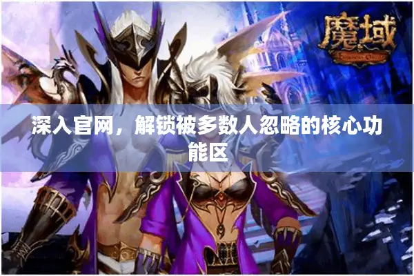 深入官网，解锁被多数人忽略的核心功能区