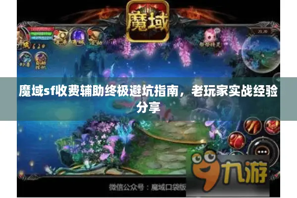 魔域sf收费辅助终极避坑指南，老玩家实战经验分享