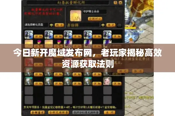 今日新开魔域发布网，老玩家揭秘高效资源获取法则